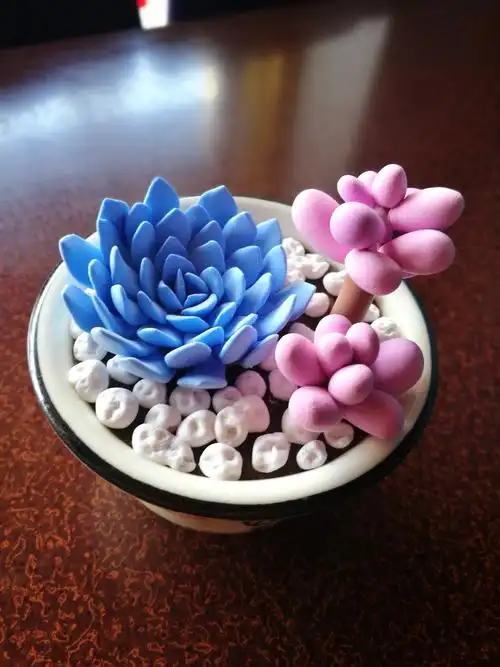 超轻粘土多肉植物