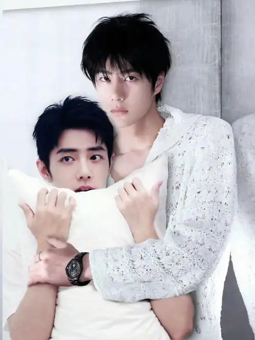 王一博肖战#晚安989898989898贴贴.#肖战王一博