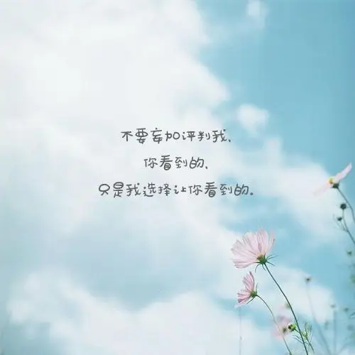 唯美暖心的文字语录图片