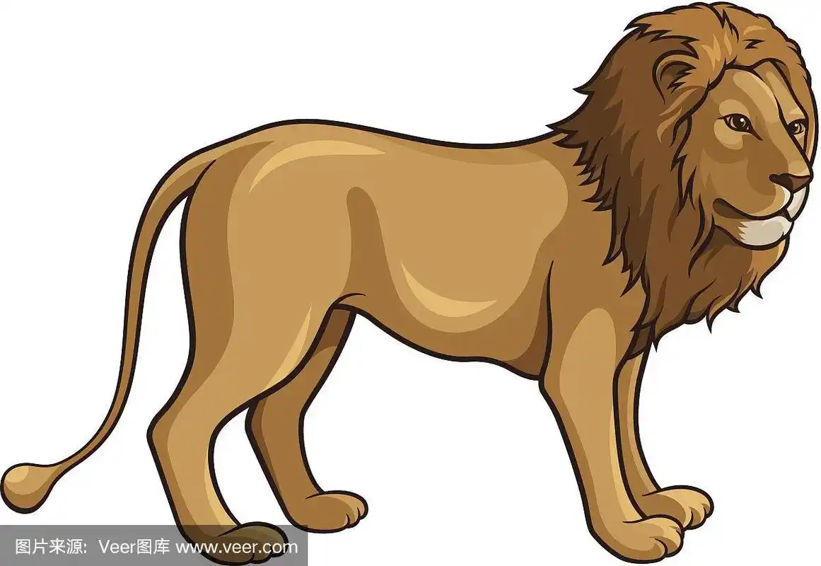 狮子,野生猫科动物,野生动物,可爱的,绘画插图