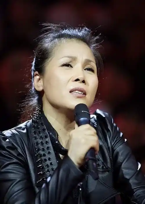 田震15年后回国复出,身价不菲澳洲有豪宅,与那英争歌坛一姐席位_乐坛