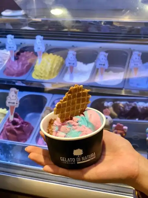 「帝娜朵拉(oneavenue卓悦中心店)」