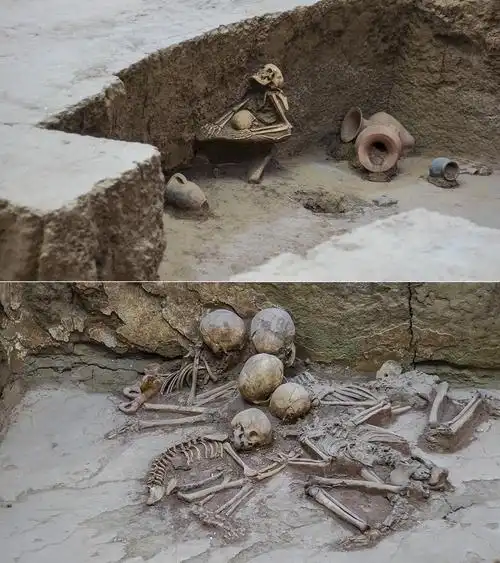 在整个喇家遗址区域内,有上百处古砂土液化的遗迹,主要表现为砂脉,砂