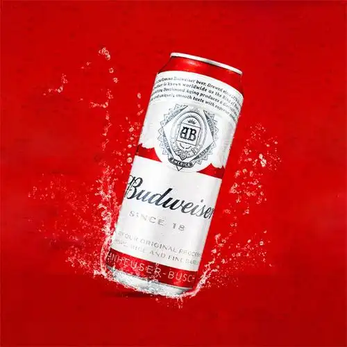 百威啤酒听装500ml参数