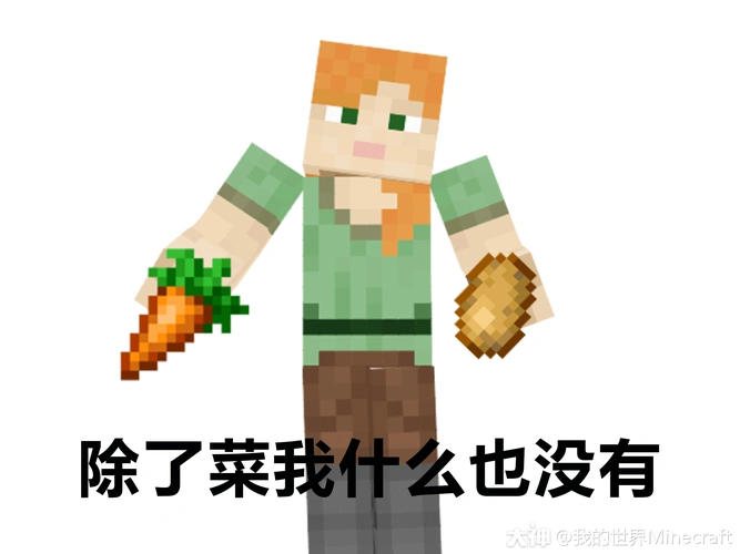 大家在玩#我的世界#时,脸上是怎样的表情?是不是和下图中一样呢?