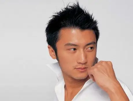 我适不适合剪个谢霆锋这样的发型?