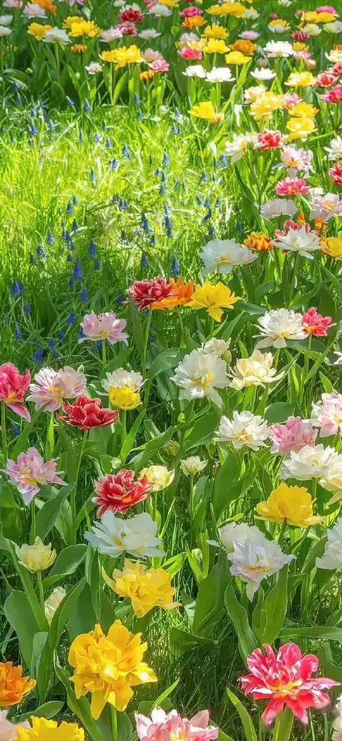 壁纸| 高级感ins风壁纸