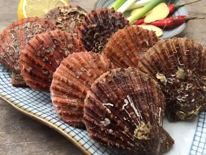 扇贝大连顺丰三斤粉丝蒜蓉鲜红鲜活新鲜红野生扇贝