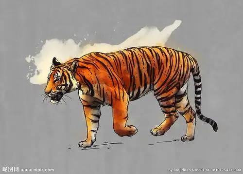 老虎插画设计图__绘画书法_文化艺术_设计图库_昵图网nipic.com