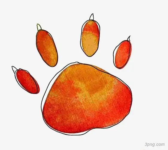 标签:手绘兔子爪子插画手绘橙色脚印痕迹卡通阳光手绘花手绘植物手绘