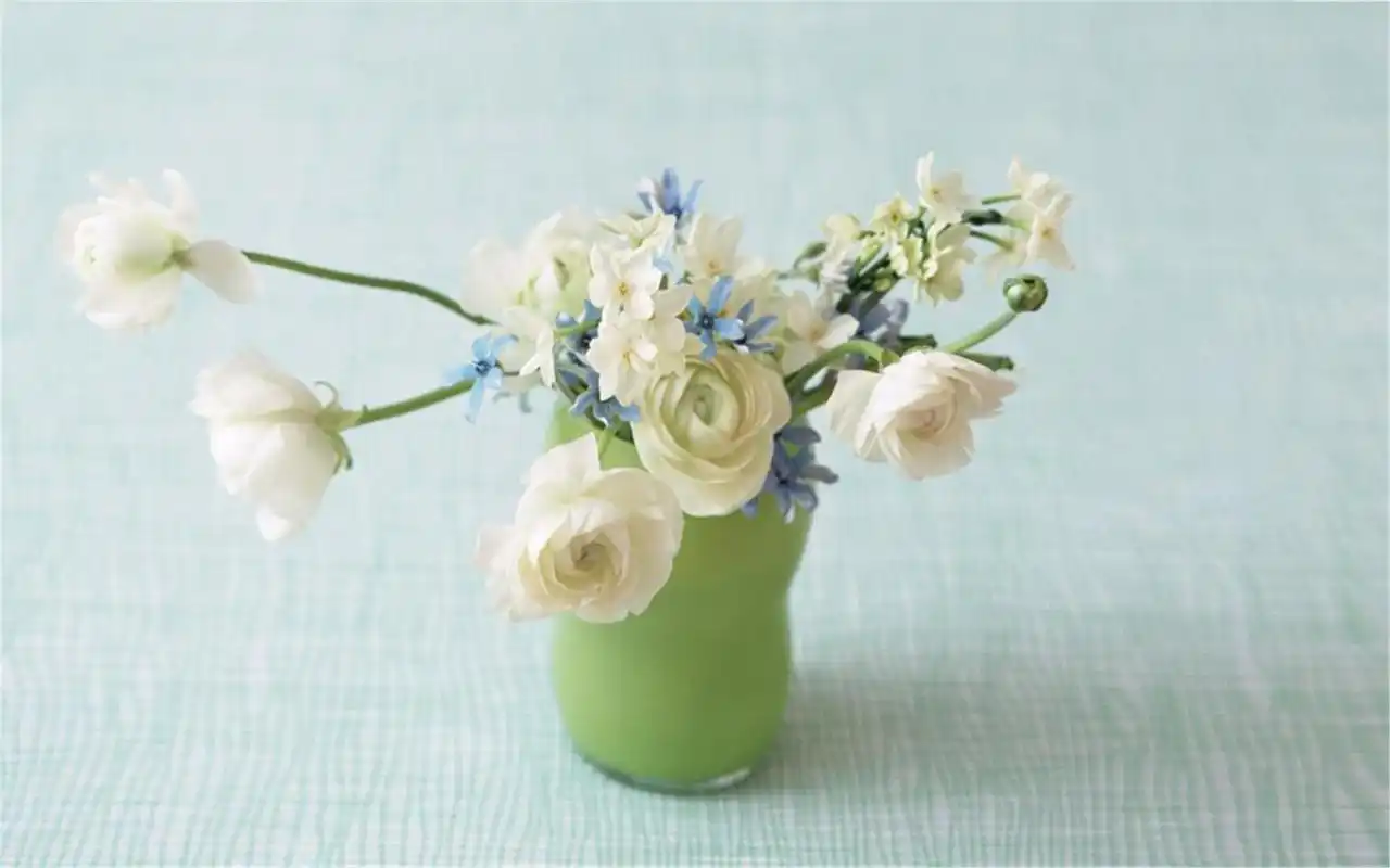 简约小清新植物盆栽高清电脑桌面壁纸图片大全