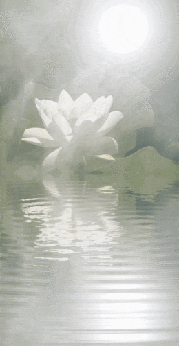 动!动 !动 !动 !动!美!美!美!美!美!