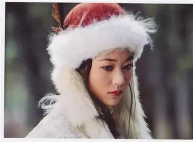 电视剧《萍踪侠影》