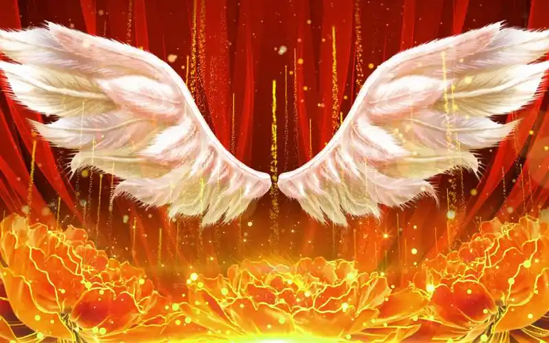 护士节天使翅膀背景视频素材