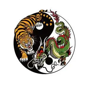 太极服龙图图片