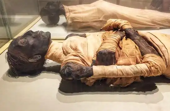 木乃伊会不会复活 木乃伊是怎么制作而成的