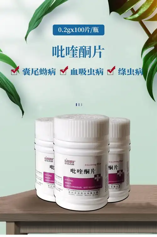 兽药吡喹酮片兽用猪牛羊猫狗鸡用血吸虫病绦虫病囊尾蚴病100片