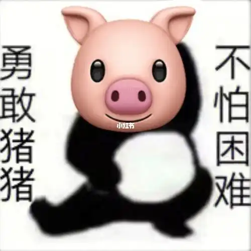 勇敢猪猪什么梗