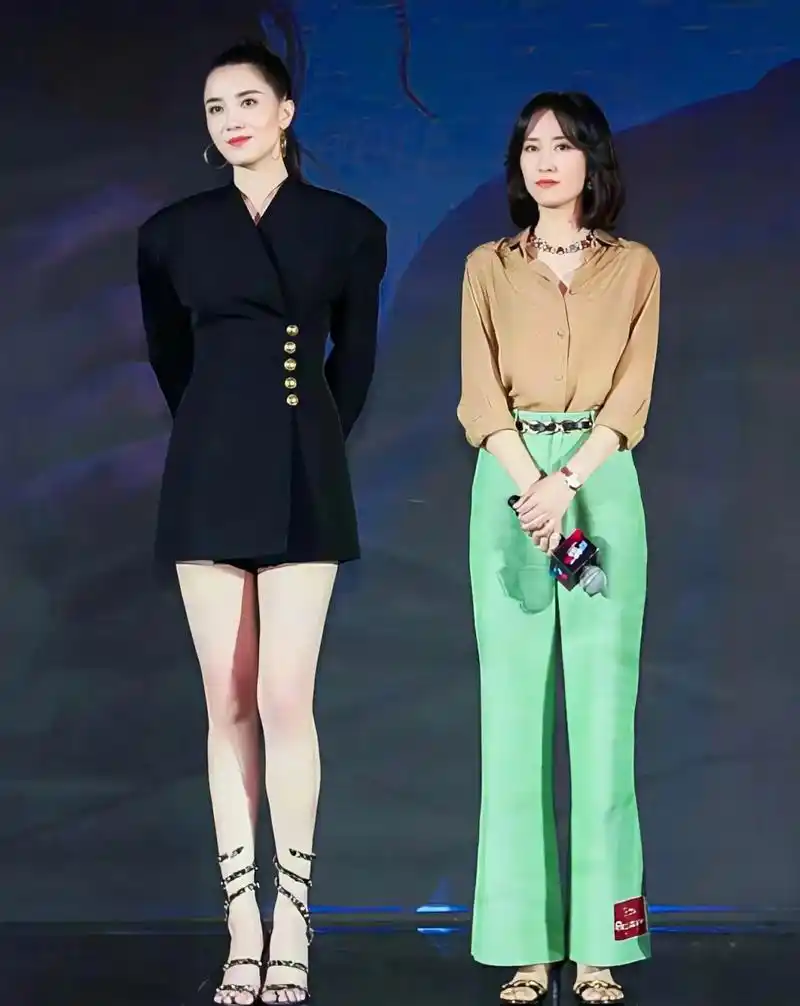 刘敏涛宋佳同框 这两个女明星都是气质型美女 各有千秋,谁也不输给谁