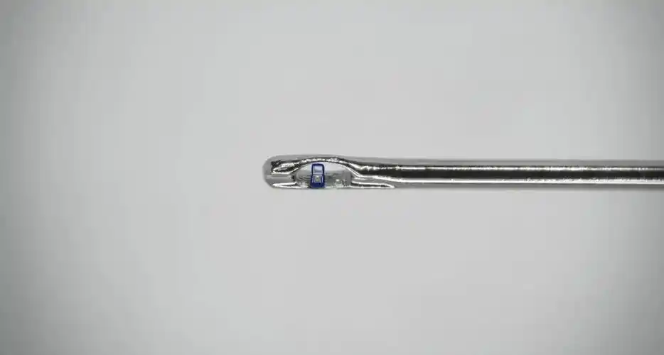 🏆世界上最小的手工雕刻雕塑