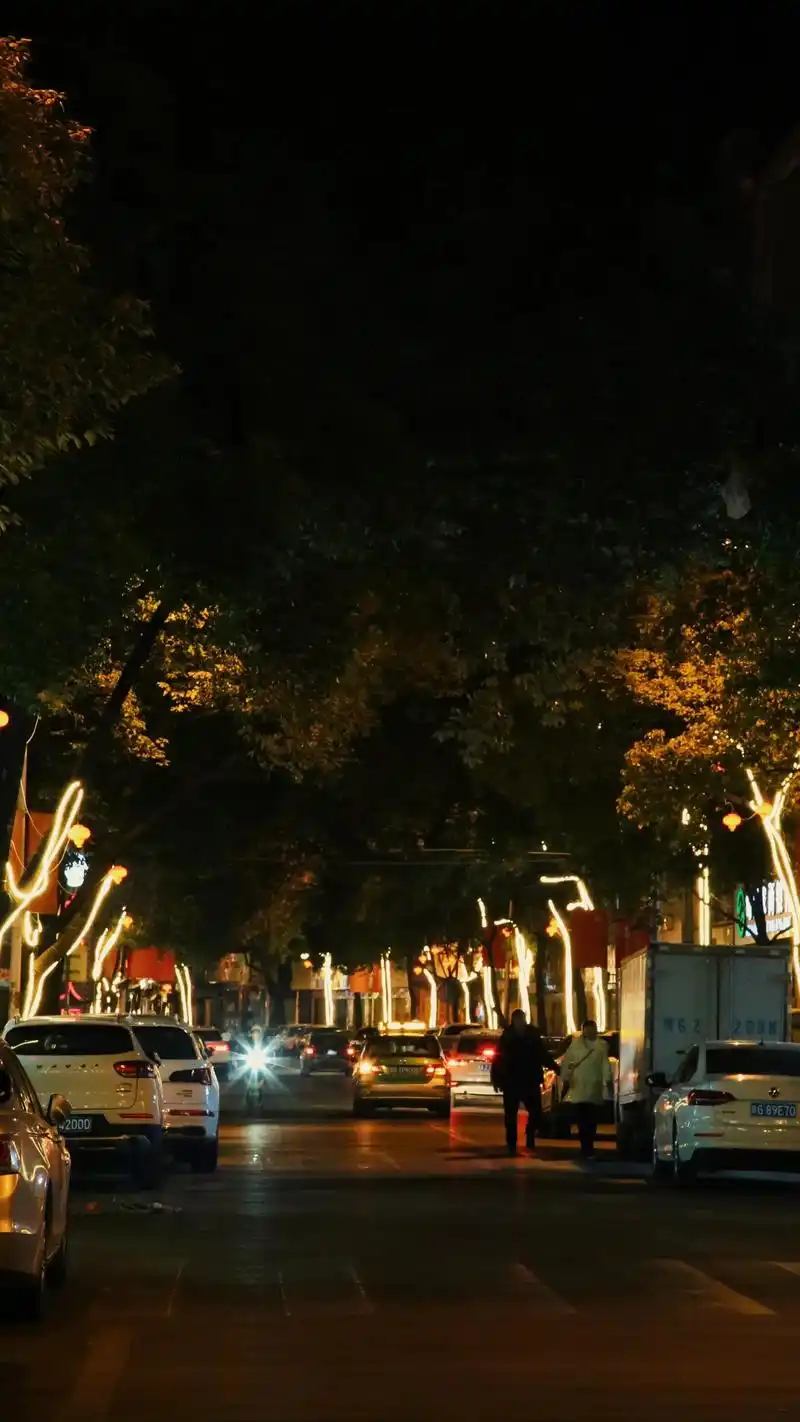 01.26.#我的摄影日记 #小城夜景 #路灯下 - 抖音