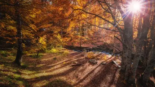 唯美秋季伤感高清桌面壁纸_风景壁纸_壁纸下载_美桌网
