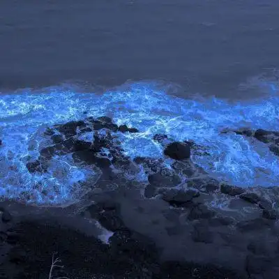 漂亮淡雅的背景图euphoria欢欣之意皆由你蓝色壁纸ins风治愈系风景