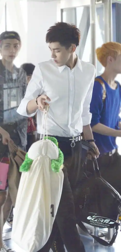 求一张吴亦凡的图片,他提溜个跟白菜样的玩偶走机场,高清大图,有吗?