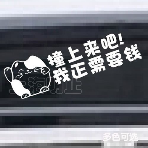 撞上来吧我正需要钱 招菜猫 可爱 卡通 搞笑 幽默 网络流行 车贴