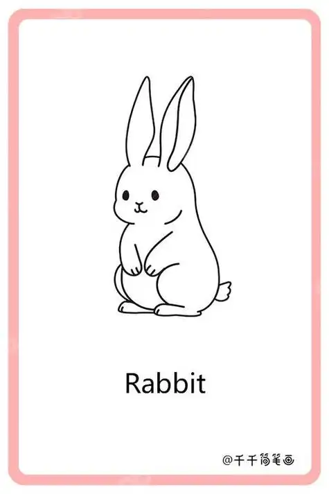 儿童英语词汇认知 兔子rabbit动物英文认知简笔画