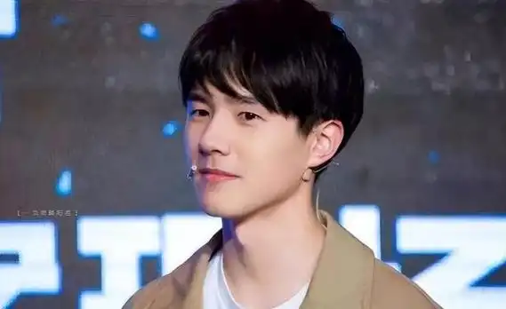 中国最帅的小鲜肉男明星排名