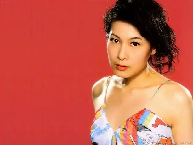 刘若英壁纸1024x768桌面图片-1024x768.166k.高清大图-明星写真馆n63.