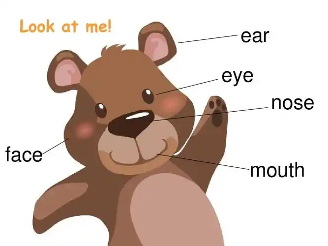 最新人教版pep小学三年级英语上册4pep1_unit3_look_at_me_第四课时