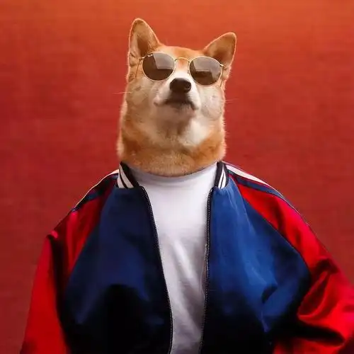 选对墨镜你也能是吴彦祖