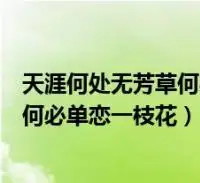 天涯何处无芳草何必单恋一枝花怎么回复(天涯何处无芳草何必单恋一枝