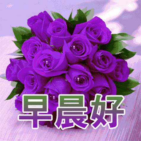 早上打招呼的幽默句子每天早晨问候语表情包问候早上好的句子