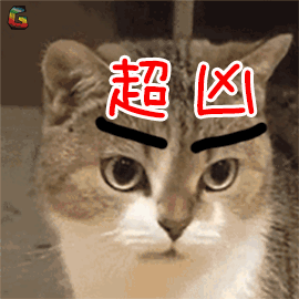 其实多少外表看上去凶神恶煞不好惹的硬汉硬妹,就对我们指指点点,评头