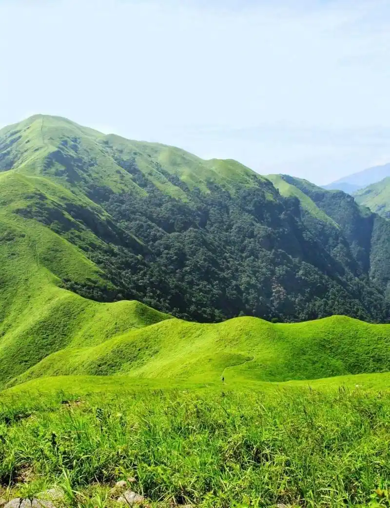武功山·高山草甸 春日青翠如毯·秋时芦花摇曳