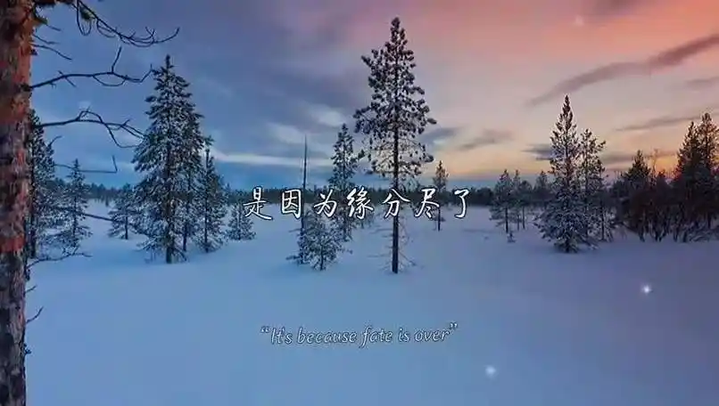 得到了是因为缘分到了失去了是因为缘分尽了