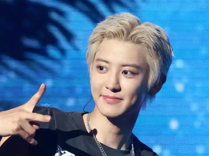 朴灿烈240906都市风景演唱会 照片分享