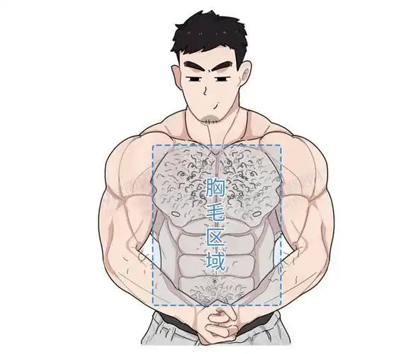 男生长腹毛的原因和含义(男性腹部长毛的性征)-52线报网