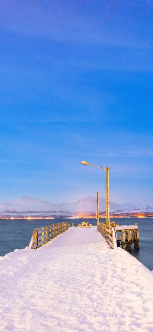 壁纸 桌面 690_1496 竖版 竖屏 手机