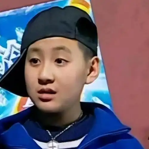 家有儿女20年后小演员现状对比有人逆袭大火有人默默无闻