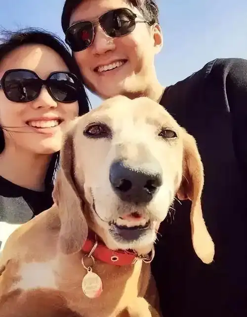 "世界小姐"张梓琳:37岁生二胎不嫁豪门嫁爱情,老公颜值高