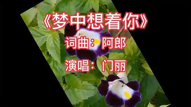 门丽演唱《梦中想着你》伤感情歌,唱哭了多少有情人