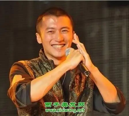 谢霆锋短头圆寸发型