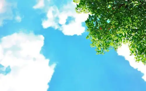 摄影,壁纸,2560x1600尺寸壁纸-回车桌面