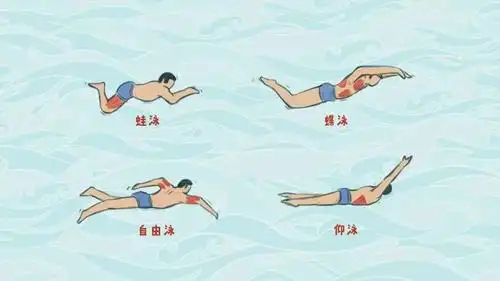 游泳不减肥还粗胳膊游泳说你这没良心的少冤枉我丨女子力享瘦