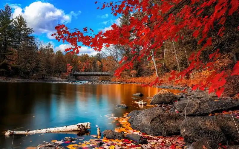 wallpaper engine 壁纸推荐 || 自然界真实绝美风景壁纸