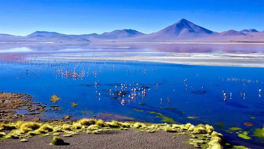 玻利维亚之绝美高原风光(下)